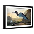 thumbnail image 1 of Audubon: Little Blue Heron, Animals Framed Art Print Wall Art by John James Audubon Sold by Art.Com, 1 of 6