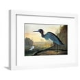 thumbnail image 1 of Audubon Little Blue Heron, Animals Framed Art Print Wall Art by John James Audubon Sold by Art.Com, 1 of 6