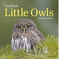 Audubon Little Owls Mini Wall Calendar 2025 A Year of Fluffy and