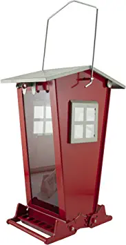 Red Metal and Plastic Squirrel-Resistant Hanging Bird Feeder