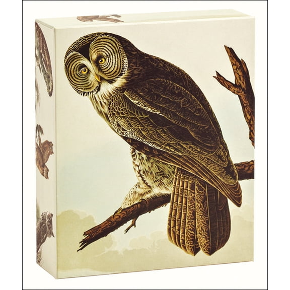Audubon Owls : QuickNotes (General merchandise)