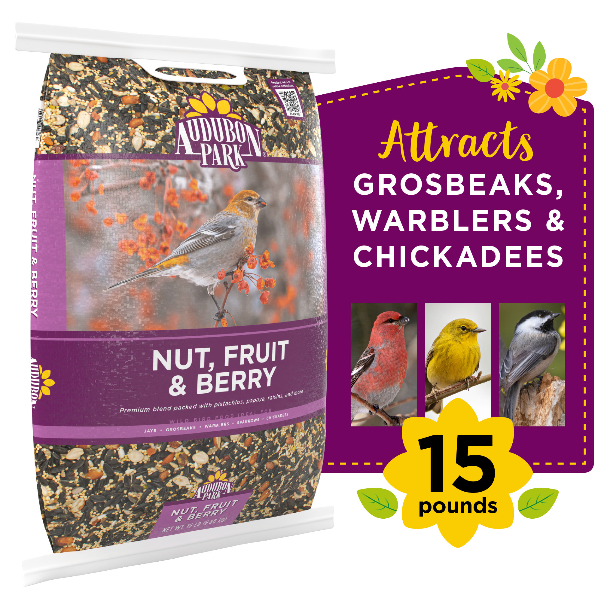 Kaytee Wild Bird Food Nut & Fruit Blend