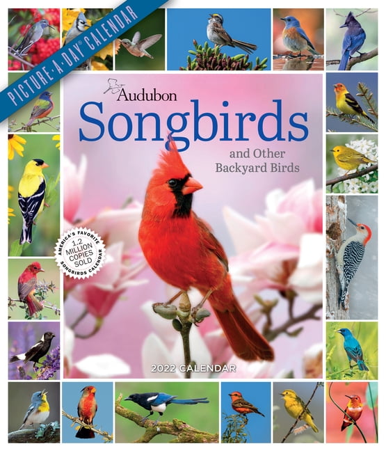 audubon-songbirds-and-other-backyard-birds-picture-a-day-wall-calendar-2022-your-daily