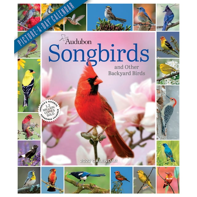 Audubon Songbirds and Other Backyard Birds PictureADay Wall Calendar