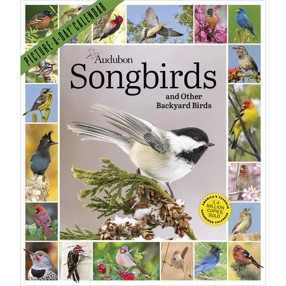 Audubon Songbirds and Other Backyard Birds Picture-A-Day(r) Wall Calendar 2027, (Paperback)
