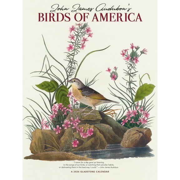 Audubon's Birds of America DLX: 9x12 Narrow Wall, (Paperback)