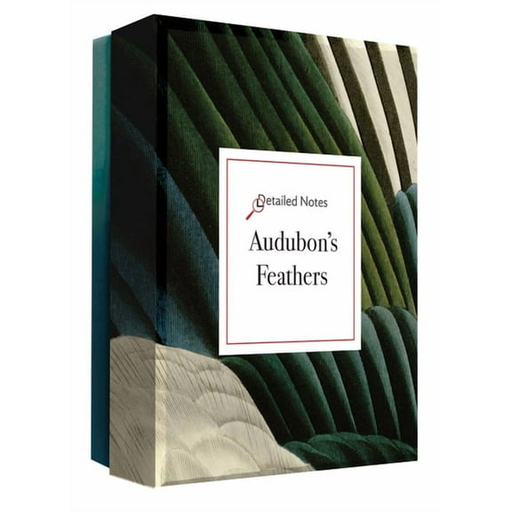 Audubon's Feathers: A Detailed Notes Notecard Box (Other)