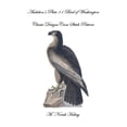 thumbnail image 1 of Audubon's Plate 11 Bird of Washington : Classic Designs Cross Stitch Pattern (Paperback), 1 of 1