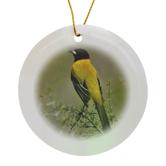 3drose, Audubons Oriole Bird in Habitat, Texas, Usa - Us44 Ldi0732 - Larry Ditto, Circle Porcelain Ornament