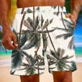thumbnail image 1 of Aueoeo Graphic Printed Shorts For Mens Drawstring Waist Beach Hawaiian Athletic High Elastic Lightweight Summer Shorts with Pocket, 1 of 9