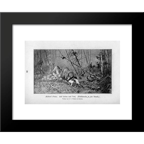 Auf Leben und Tod (Edelhirsche in der Brunft) 20x24 Framed Art Print by Richard Friese