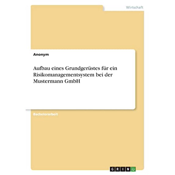 Aufbau eines Grundgerstes fr ein Risikomanagementsystem bei der Mustermann GmbH German Edition Paperback 3346551636 9783346551634 Anonym