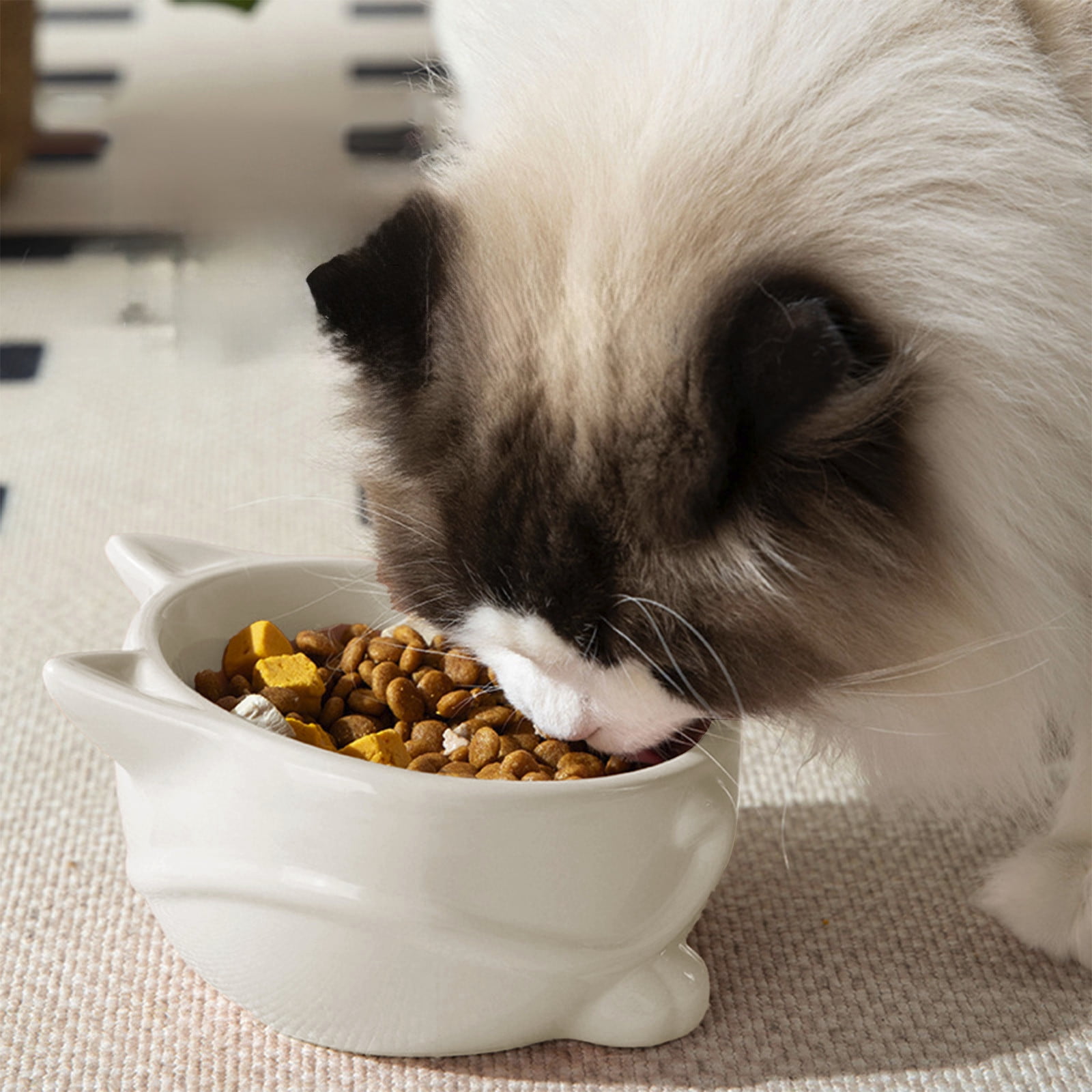 Aufmer 2 Pcs Elevated Pet Food Bowl, Wide Shallow Dish for Cats to Prevent Whisker Fatigue, Perfect Gift for Pet Owners