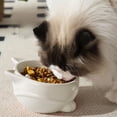 thumbnail image 1 of Aufmer 3 Pcs Elevated Pet Food Bowl, Wide Shallow Dish for Cats to Prevent Whisker Fatigue, Perfect Gift for Pet Owners, 1 of 6