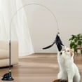 thumbnail image 1 of Aufmer 4 Pcs Interactive Cat Toy with Feathers & Bells, Suction Cup Wand for Kittens, Teaser Stick for Play, Chase & Exercise, 19.29x7.87in(Black), 1 of 6