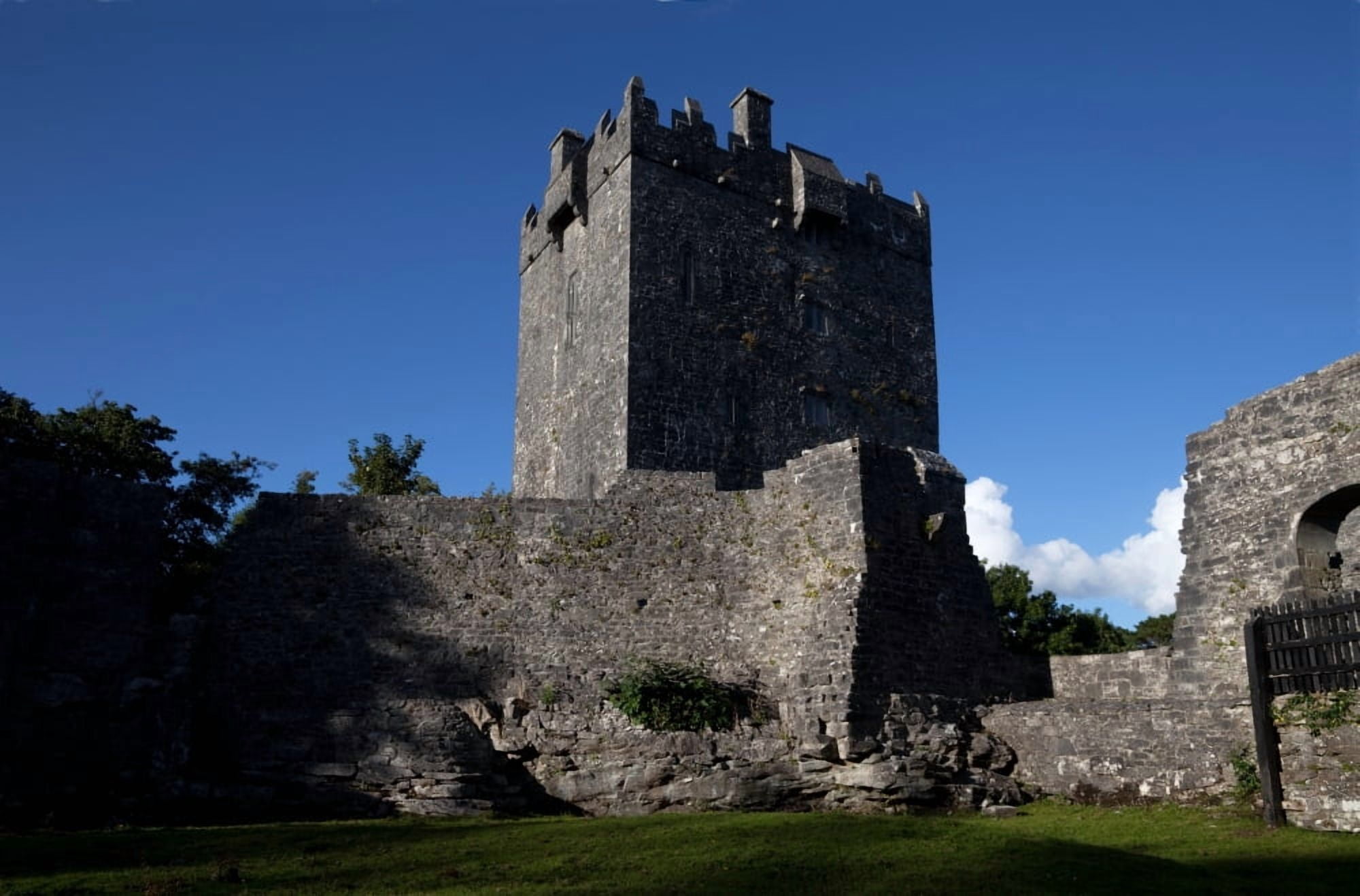 Aughnanure Castle (1490) a late medival Tower House on the banks of Lough Corrib Connemara County Galway Ireland Canvas Art - Panoramic Images (36 x 12)