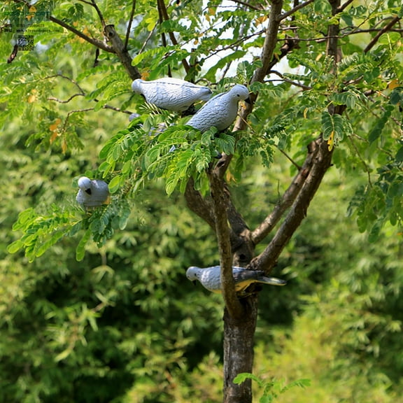 Augper Dove Decoys for Hunting Realistic Pigeons Decoy w/Clips for Garden Decorative
