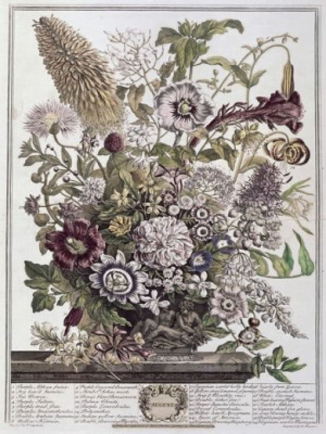 August 1730 H Fletcher (ca18th C British) Lithograph Canvas Art - H Fletcher (18 x 24)