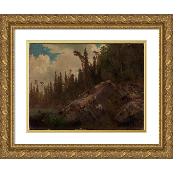 August Cappelen 24x18 Gold Ornate Framed and Double Matted Museum Art Print Titled - Landscape Study with Trees and Rocks (1851)