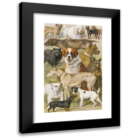 August Specht 11x14 Black Modern Framed Museum Art Print Titled - Dog Studies