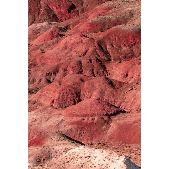 August Studios 8408 - Holbrook, AZ Poster Print - Studios August (24 x 36)