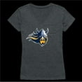 thumbnail image 1 of Augustana University Vikings Women Cinder T-Shirt, Heather Charcoal - Medium, 1 of 1