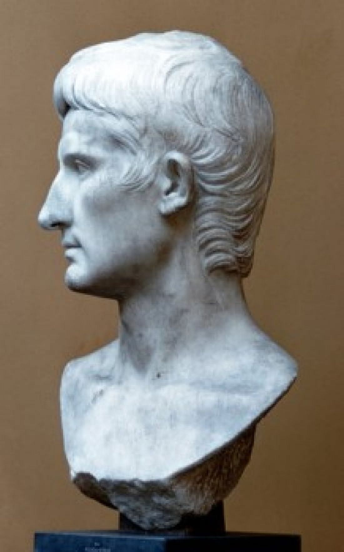 Augustus Artist Unknown Sculpture Canvas Art -  (24 x 36)