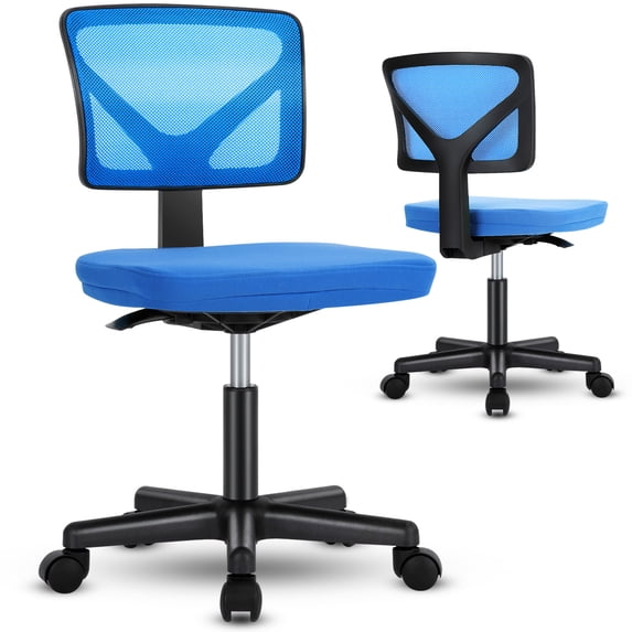 Aukfa Desk Chair Home Office Chair with Lumbar Support, Black,