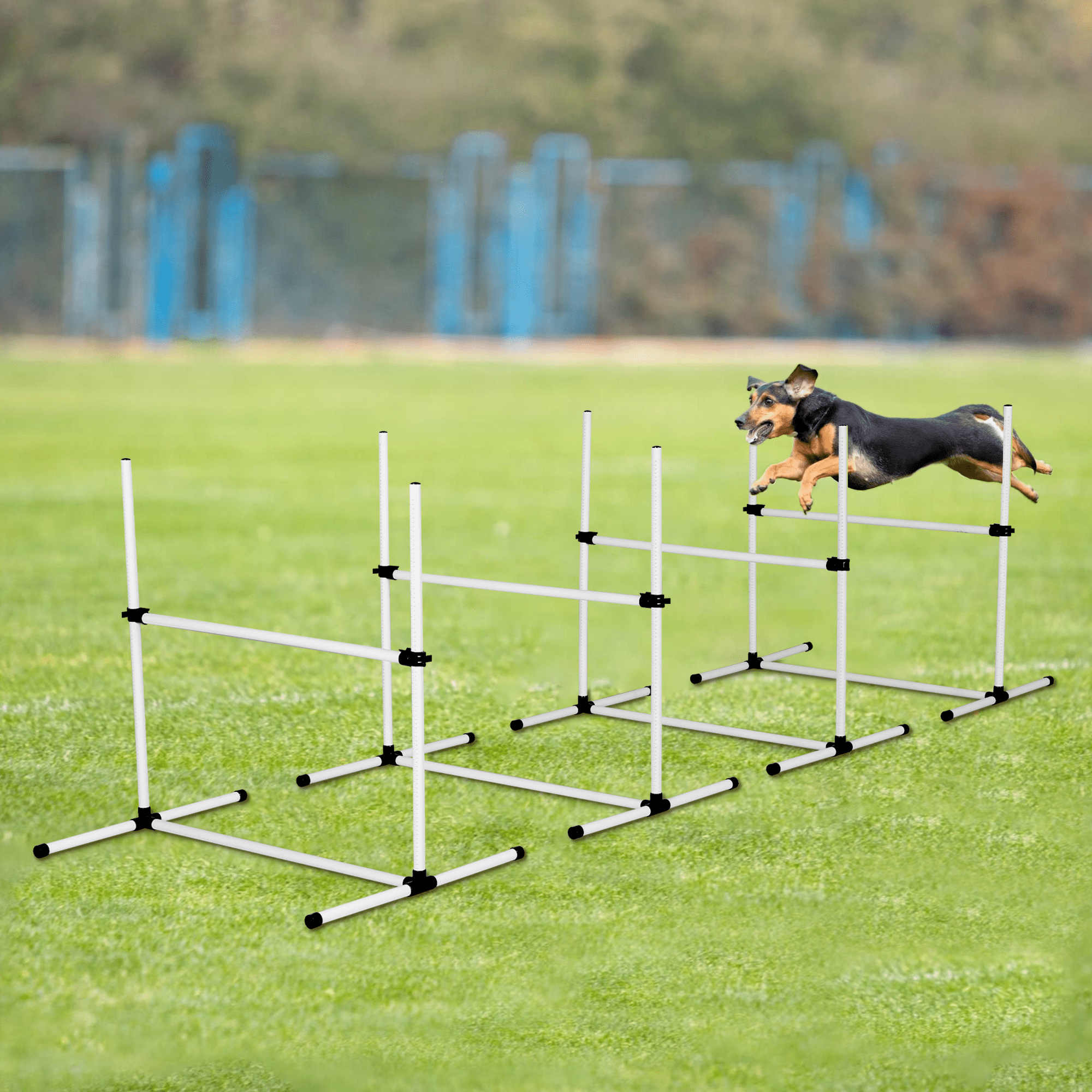 Aukfa Dog Agility Training Backyard Set, Obstacle Courses Starter Kit - Pet Outdoor Games w/Adjustable High Jump and Carrying Bag