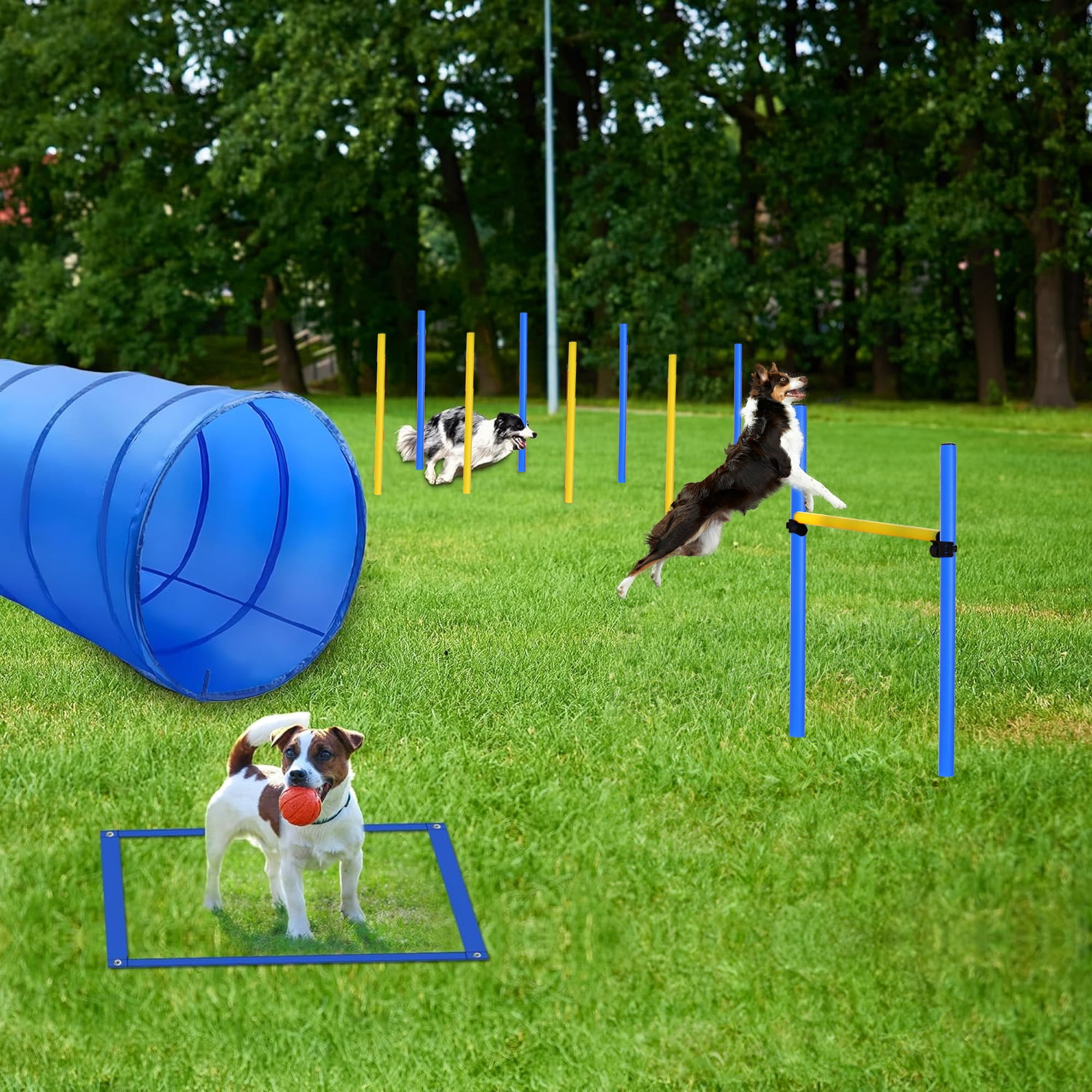 Dog Exercise Equipment Dog Agility Training Equipment Set Pet