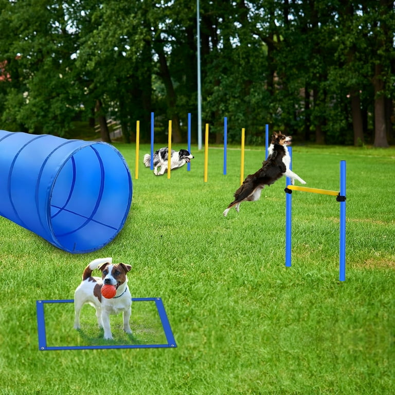 Aukfa Dog Agility Training Equipment Set Obstacle Courses Starter Kit Pet Outdoor Games w Adjustable High Jump Agility Weave Poles Tunnel Pause Box and Carrying Bag Walmart