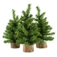 thumbnail image 1 of AuldHome Design Mini Christmas Trees (3-Pack, 8-Inch); Canadian Pine Greenery Tabletop Holiday Decor, 1 of 9