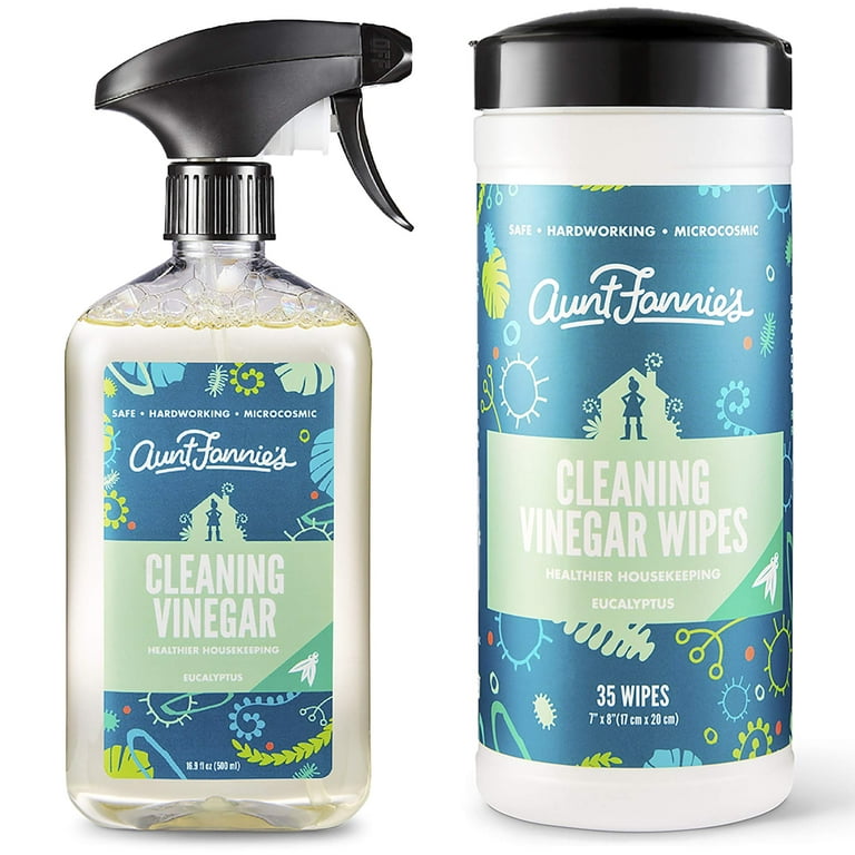 Aunt Fannie's Bundle: Refreshing Eucalyptus All-Purpose Vinegar Cleaning  Spray & Wipes - The Perfect Duo for Sparkling Clean Surfaces! 