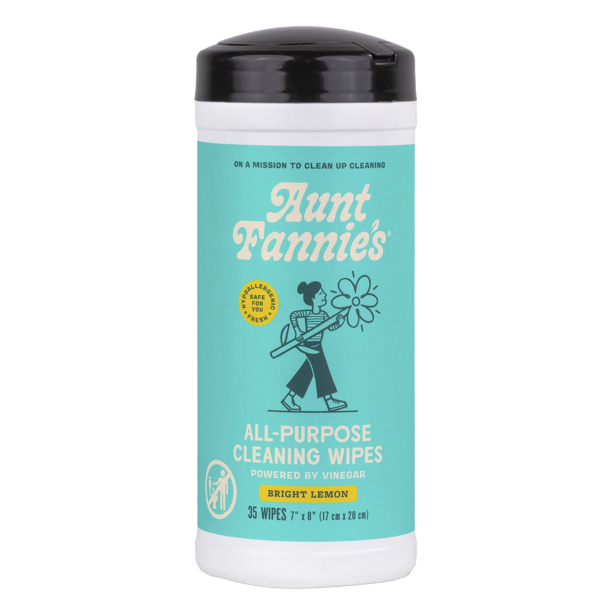 Aunt Fannie's Cleaning Vinegar Wipes
