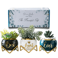 thumbnail image 1 of Aunt Gifts from Niece or Nephew, Unique Gifts for Auntie, Aunts Birthday Gifts,3 Succulent Pots, 1 of 9