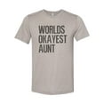 thumbnail image 1 of "Aunt Shirt, Worlds Okayest Aunt, Auntie Shirt, Sublimation T, Sisterhood, Aunt T, Humor, Funny Tees, Shirts With Sayings, Sister Birthday, Heather Stone, MEDIUM", 1 of 1