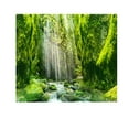 thumbnail image 1 of Auq Tapestry Multi-Use Tapestry For Bedroom Great For Any Space Wall Tapestry Multicolor, 1 of 3