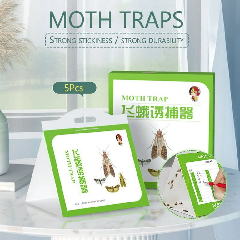 Pantry Moth Trap (5-Pack)
