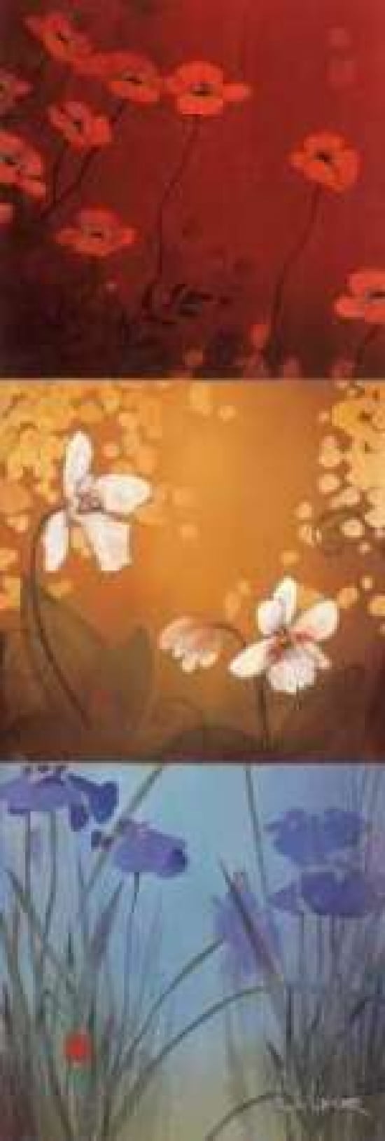 Aura Canvas Art - Don Li-Leger (12 x 36)