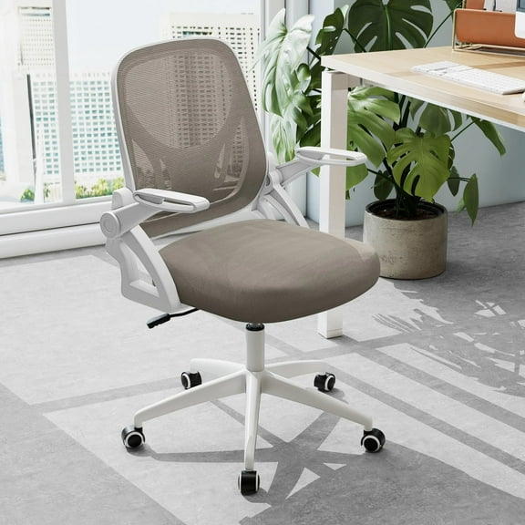 Auranook Mesh Office Chair with Lumbar Support & Flip-up Arms Rolling Casters for Work