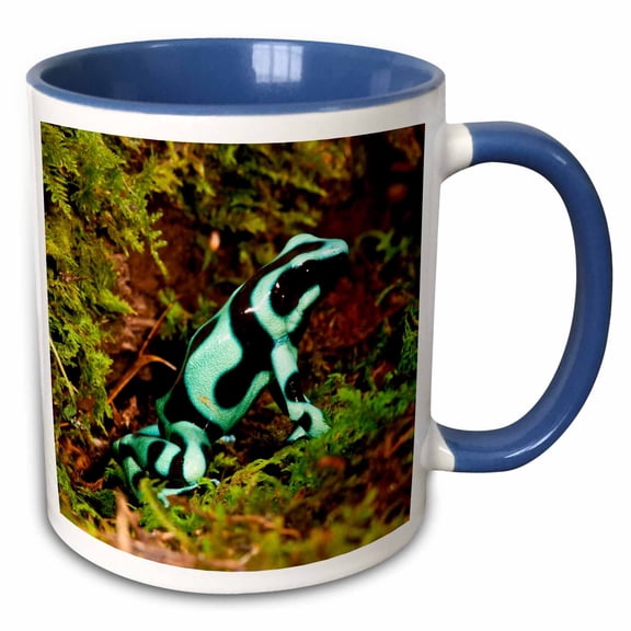 3drose, Auratus Dart Frog, Native to Rain Forest - Na02 Dno0904 - David Northcott, 11oz Two-tone Blue Mug