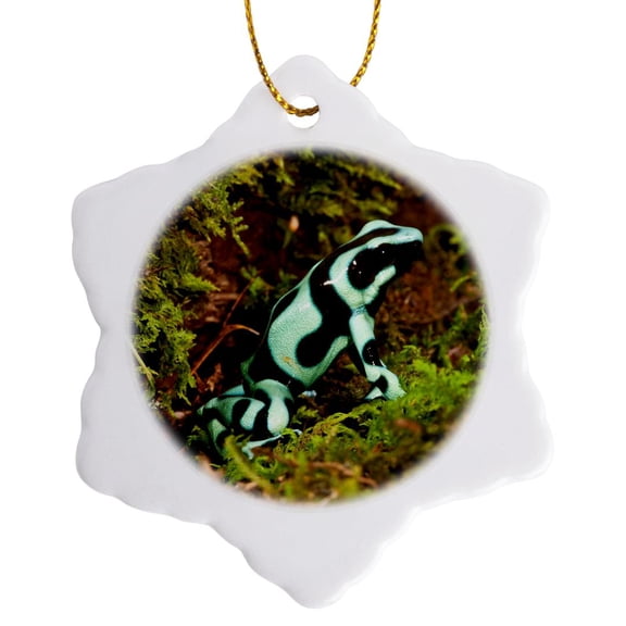 3drose, Auratus Dart Frog, Native to Rain Forest - Na02 Dno0904 - David Northcott, 3 inch Snowflake Porcelain Ornament