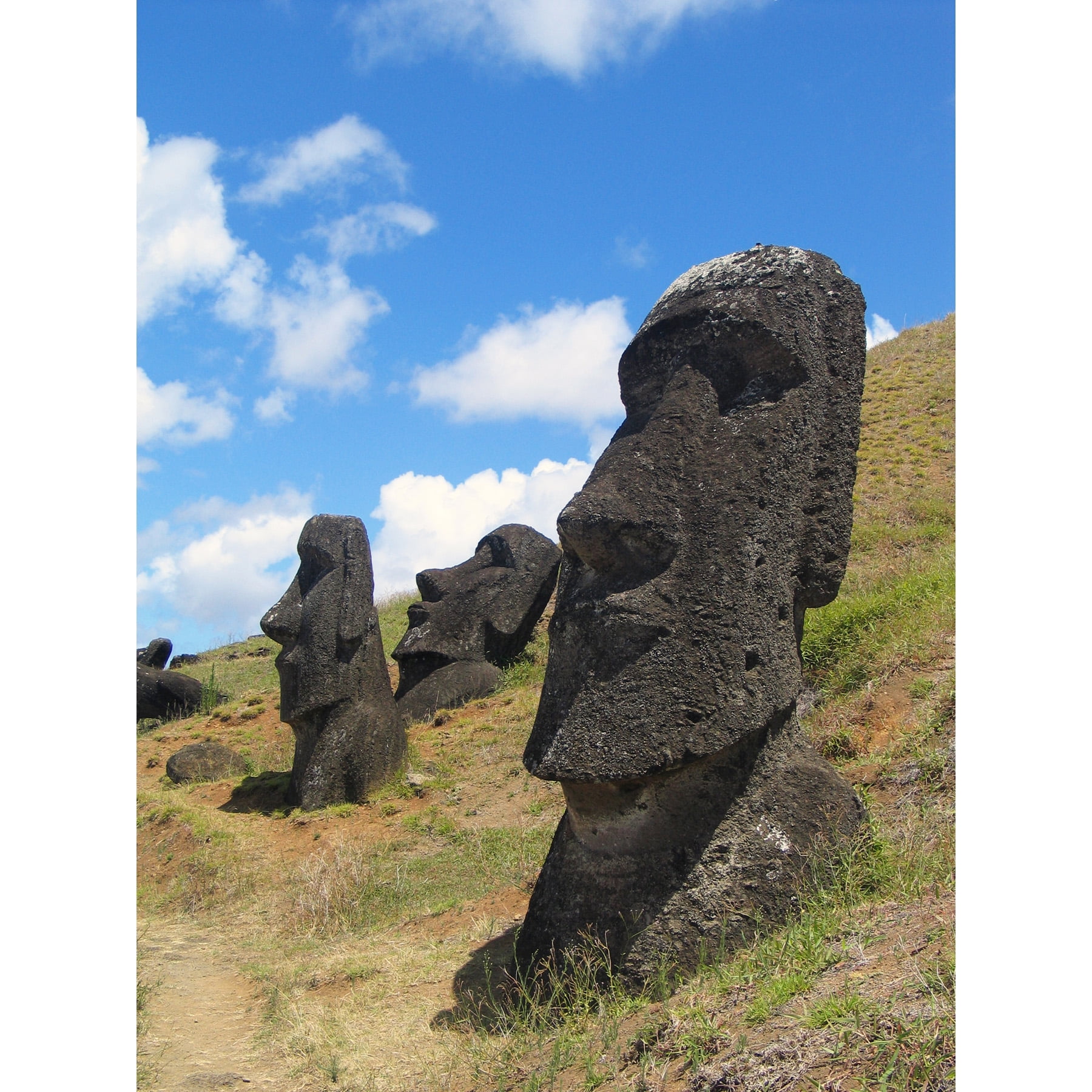 Aurbina Moai Stone Head Statues Easter Island Photograph Extra Large