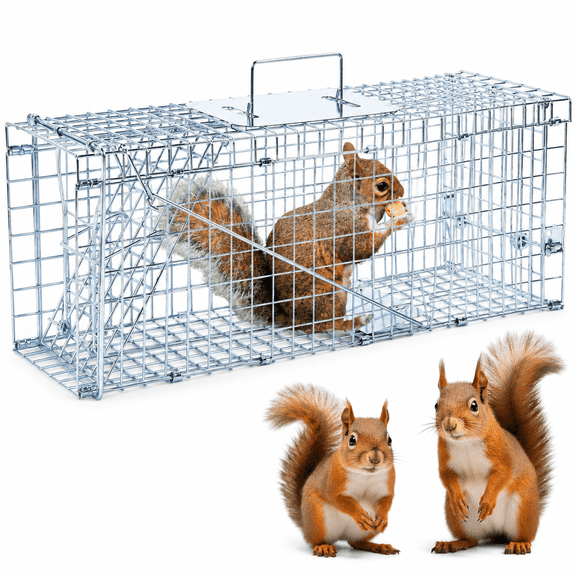 Aurelia 24" Live Animal Trap, Humane Animal Trap for Stray Cats Up to 5.5 Pounds, Raccoons, Squirrels, Skunks, Moles, Marmots, Armadillos, Rabbits, Steel Folding with Pedal Trigger