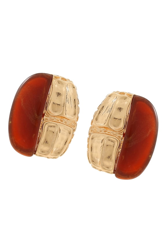 Fashionable Irregular Brown Amber Resin Earrings for Women Alloy Jewelry Portable for Autumn Winter Daily Use Wear
