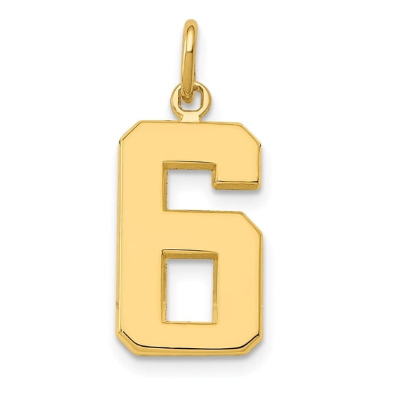 Auriga Fine Jewelry 10K Yellow Gold Casted Medium Polished Number 6 Charm for Women (L-22 mm, W-9 mm)
