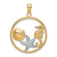 thumbnail image 1 of Auriga Fine Jewelry 10K Yellow Gold Scallop, Starfish ,Seahorse Circle Charm for Women (L-24.5 mm, W-24.5 mm), 1 of 7