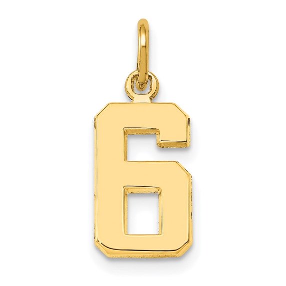 Auriga 14K Yellow Gold Casted Polished Number 6 Charm Pendant for Women (L-14.57mm, W-8.06mm)