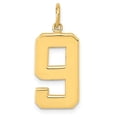 thumbnail image 1 of Auriga Fine Jewelry 14K Yellow Gold Large Polished Number 9 Charm for Women (L - 20.88 mm, W - 11.3 mm), 1 of 6