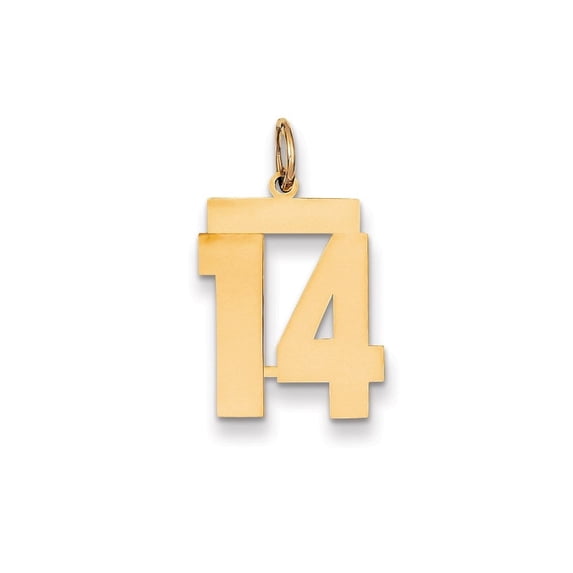 Auriga Fine Jewelry 14K Yellow Gold Medium Polished Number 14 Charm for Women